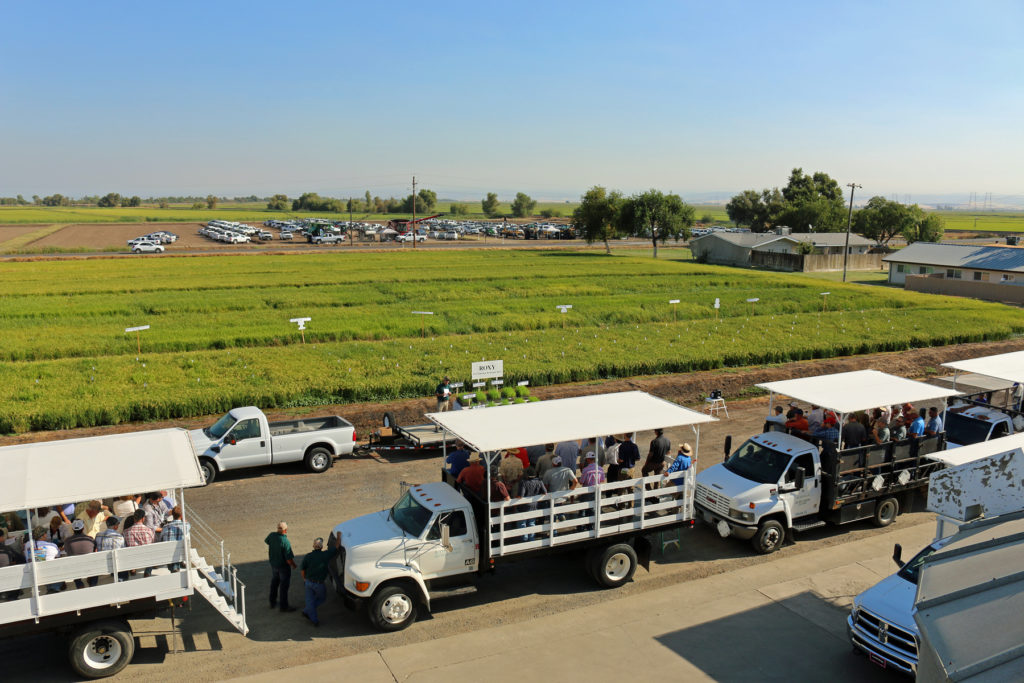 Rice Field Day coming up August 28