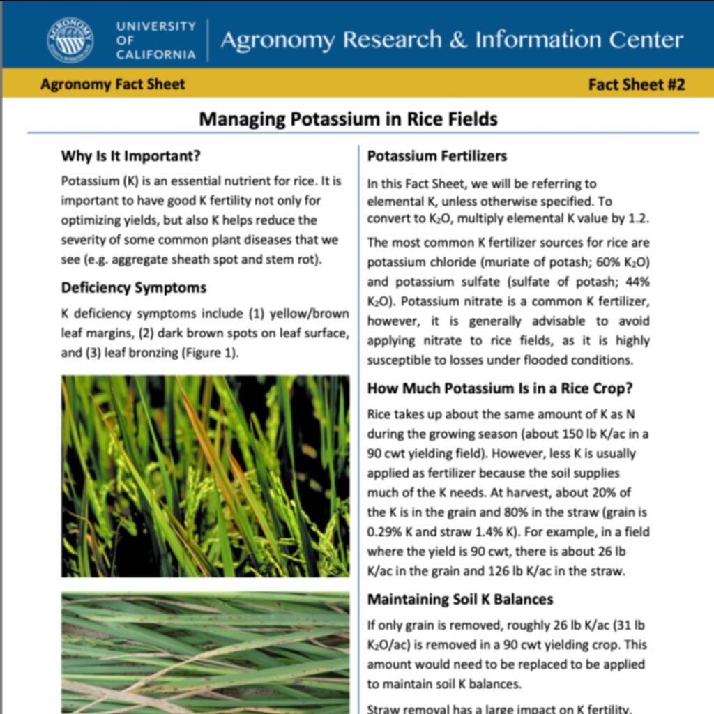 New Rice FactSheets now available