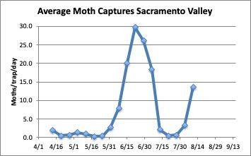 graph of average moth captures in sacramento valley for the past 4 months